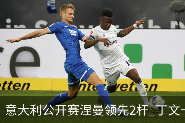意大利公开赛涅曼领先2杆 丁文一吴阿顺晋级决赛